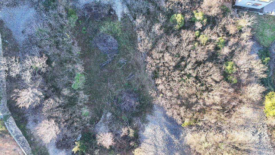 original_1705459625_dji_20240116151231_0031_d.jpg