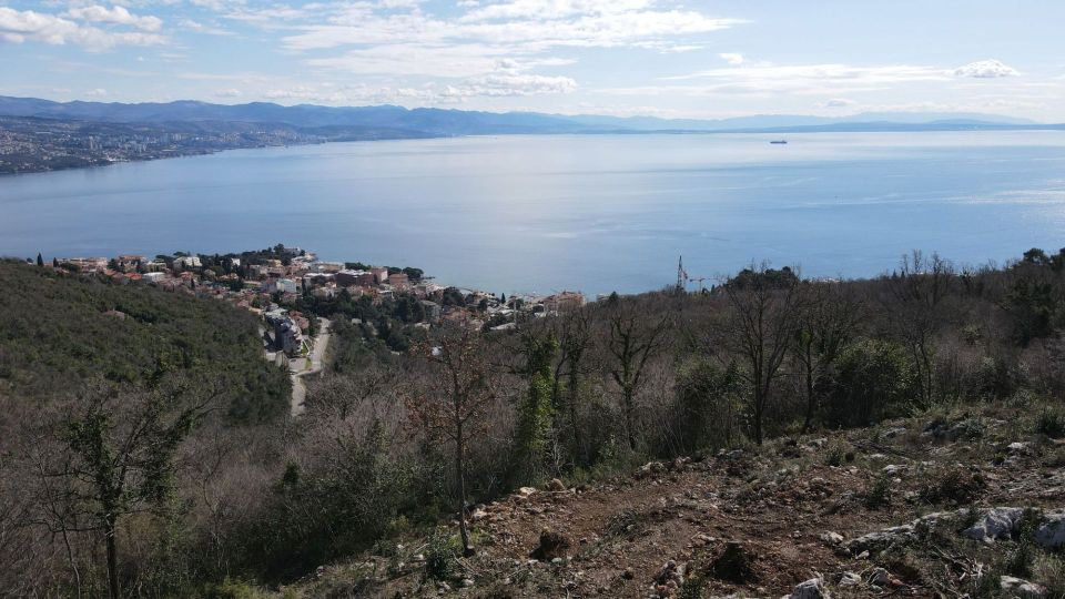 original_1710421095_dji_0861.jpg