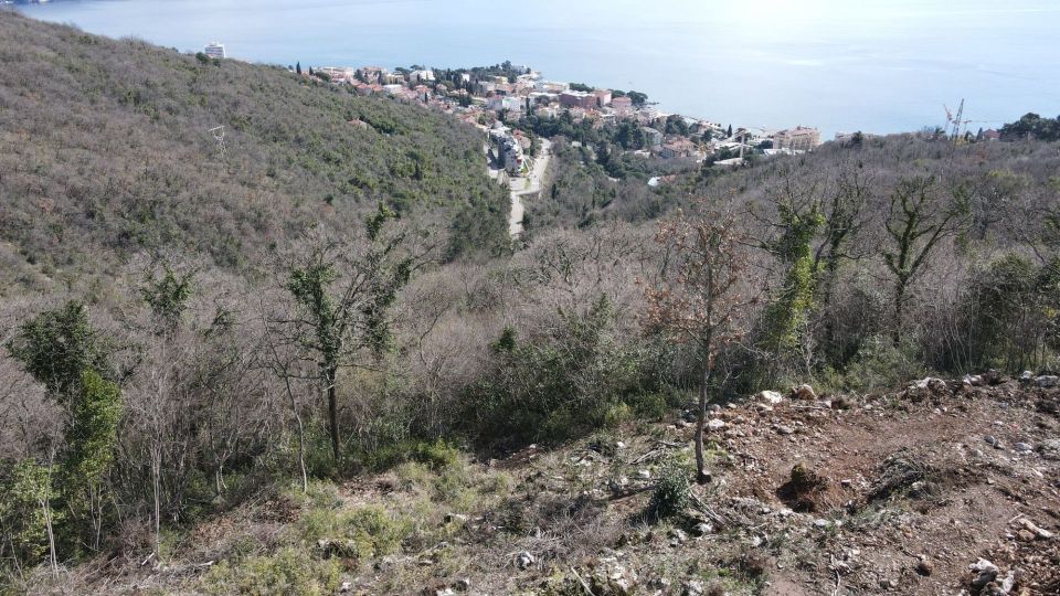 original_1710421114_dji_0858.jpg