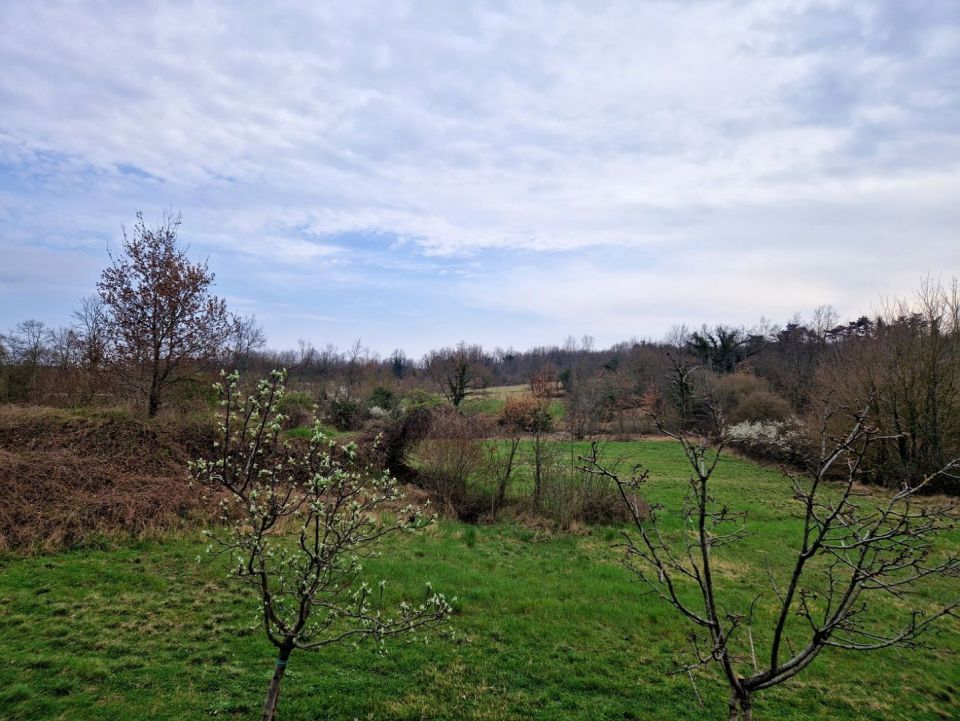 original_1711057423_istra-gradevinsko-zemljiste-prodaja-4.jpg