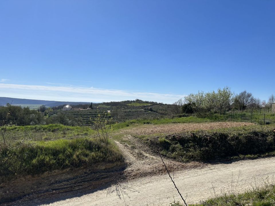 original_1711544947_img_2141.jpg
