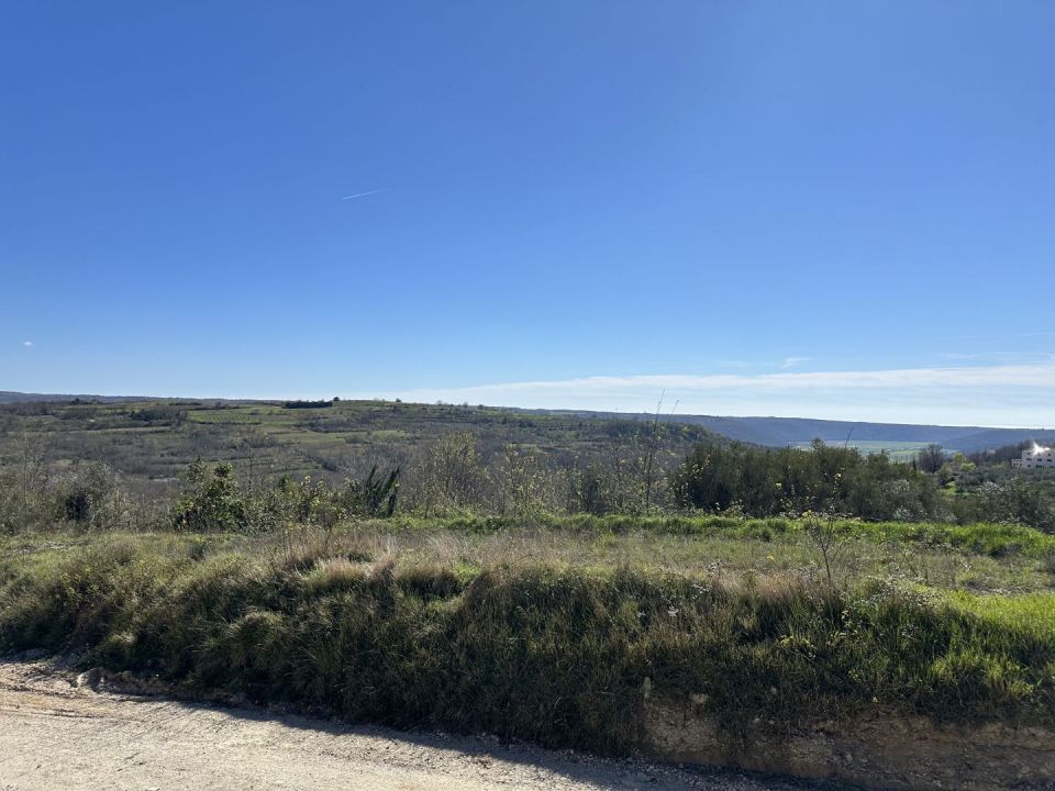 original_1711544954_img_2143.jpg