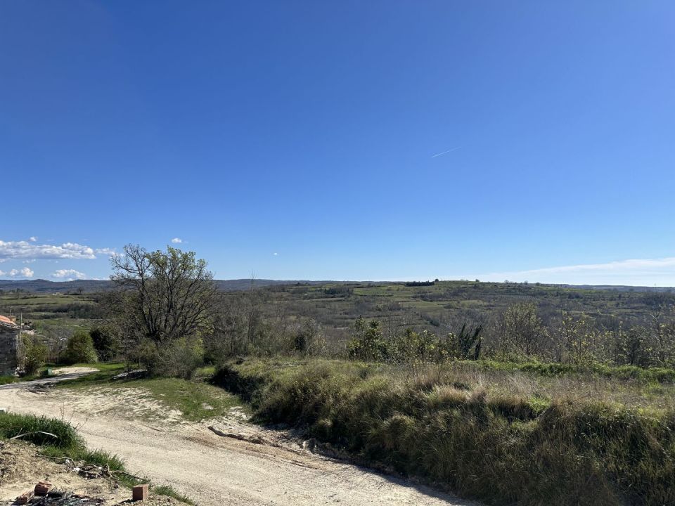 original_1711544960_img_2144.jpg