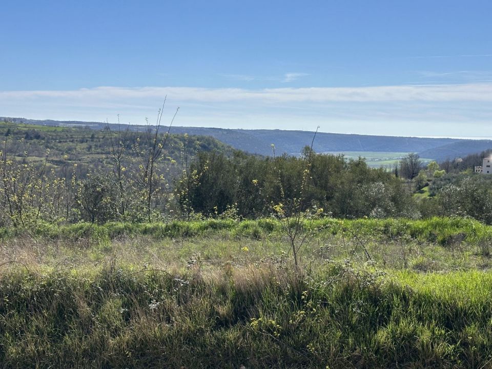 original_1711544982_img_2149.jpg