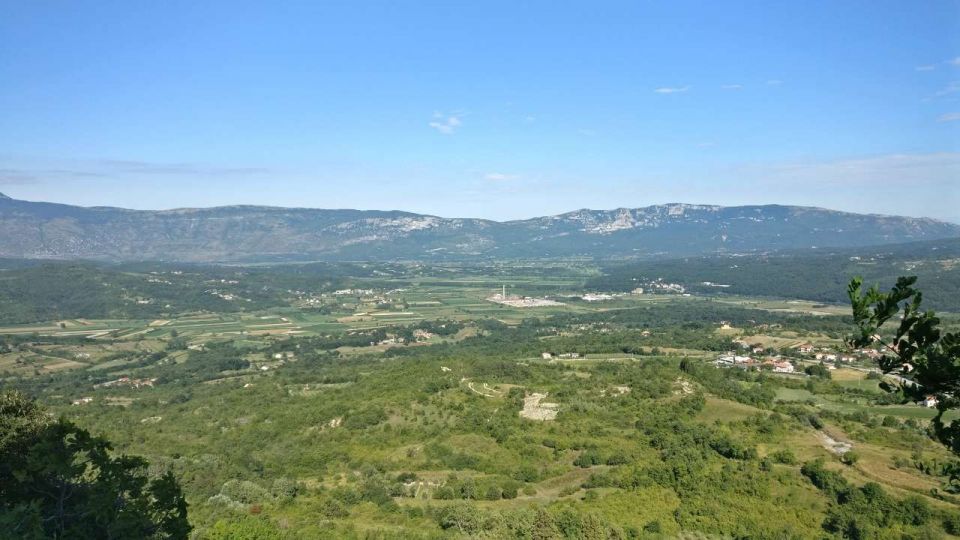 original_1710494983_pican_pogled.jpg