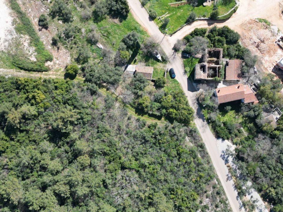 original_1710750363_dji_0336.jpg