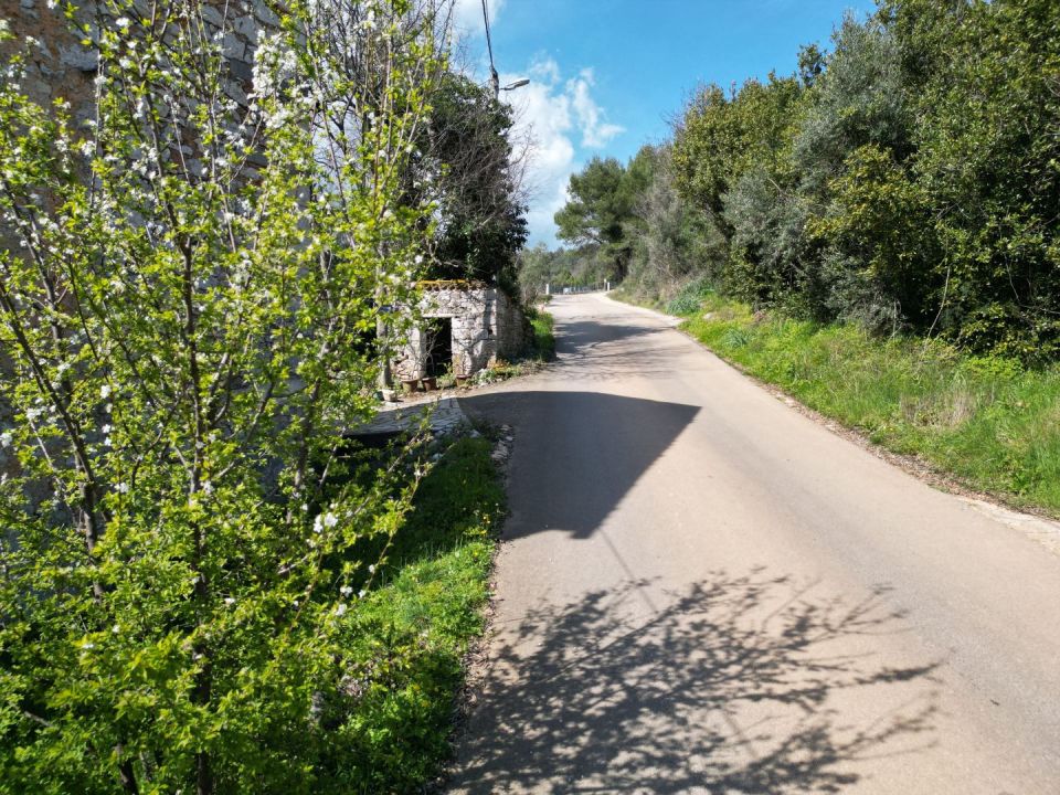 original_1710750629_dji_0382.jpg