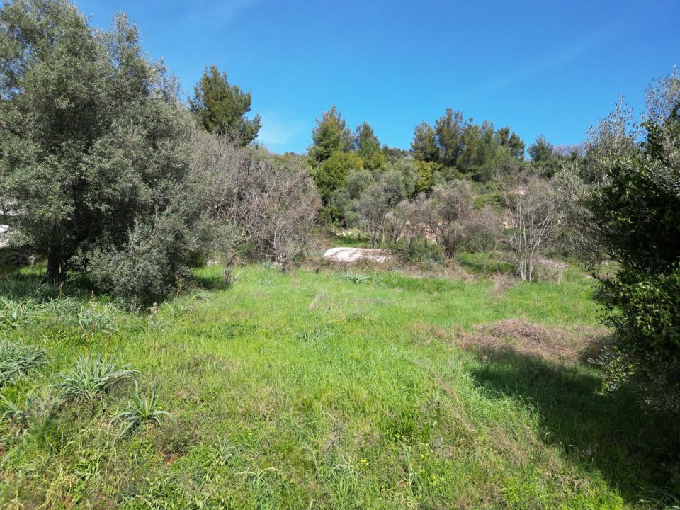 original_1710750695_dji_0393.jpg