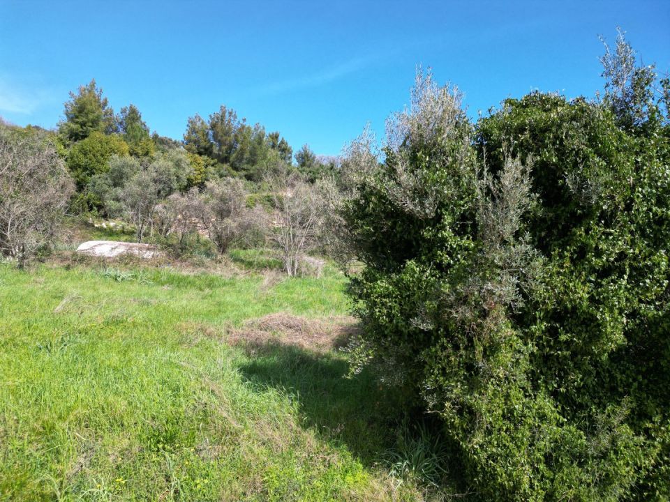 original_1710750702_dji_0394.jpg