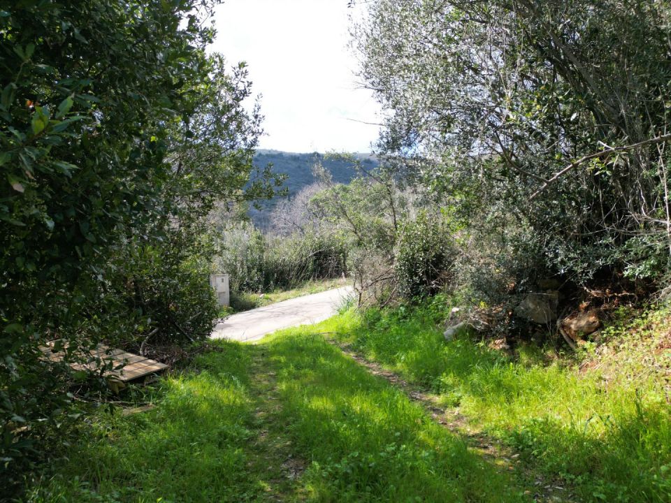 original_1710750757_dji_0402.jpg