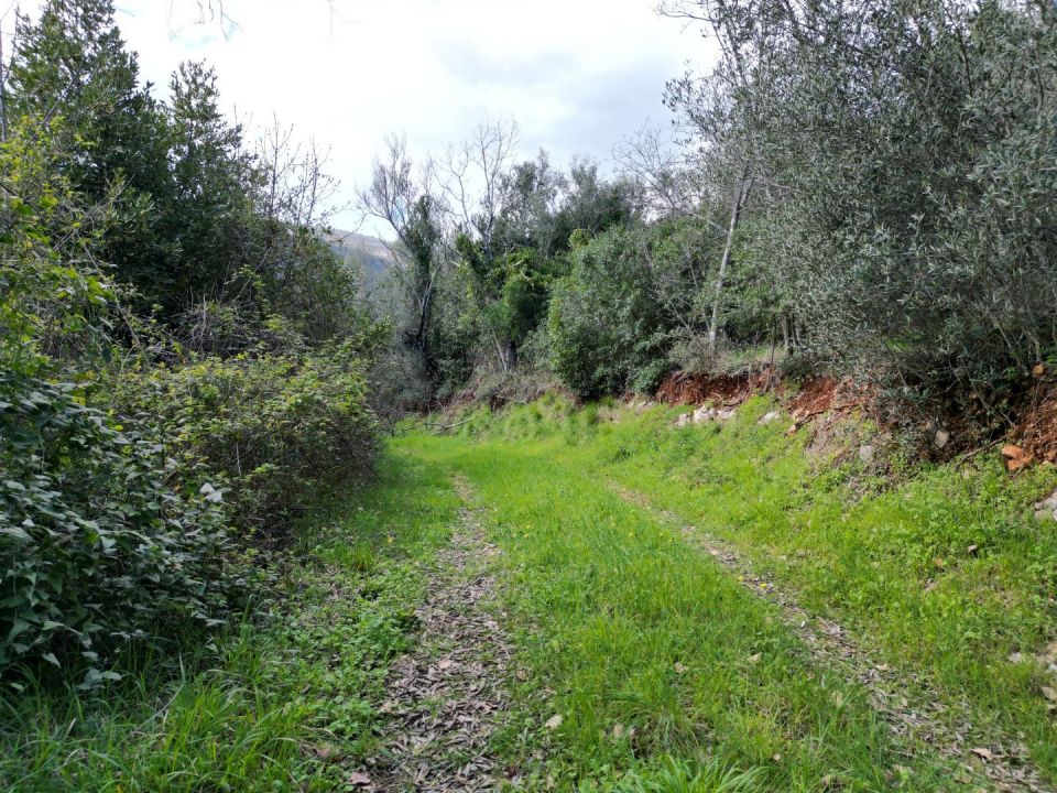 original_1710750781_dji_0406.jpg