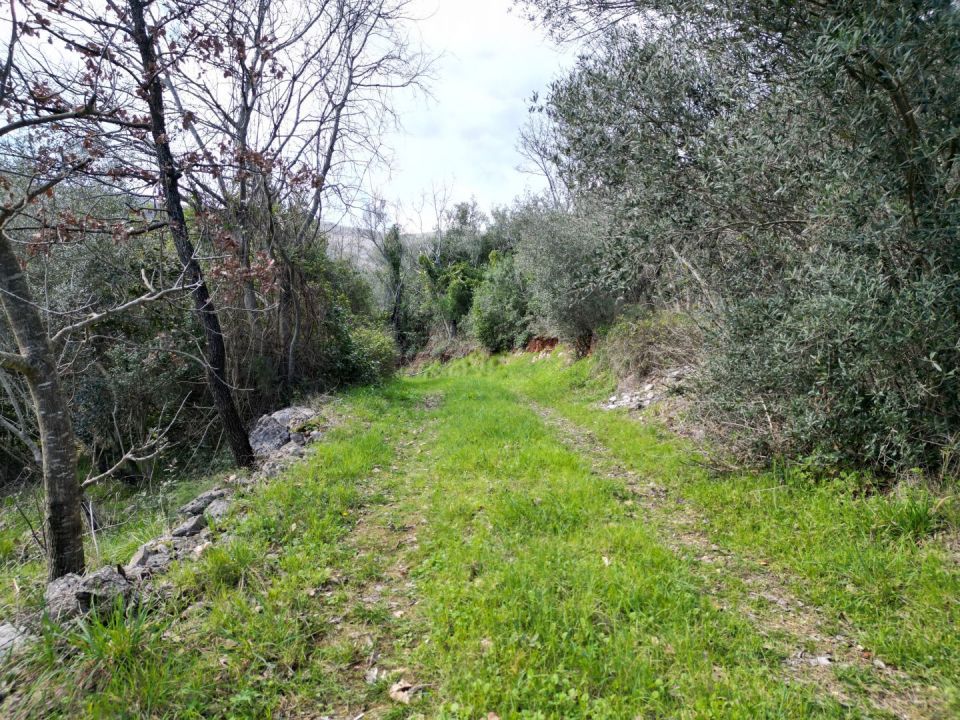 original_1710750788_dji_0407.jpg