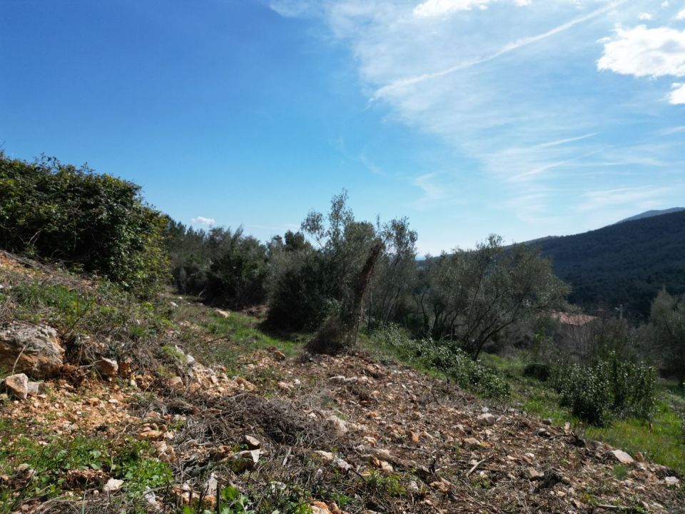 original_1710750799_dji_0409.jpg