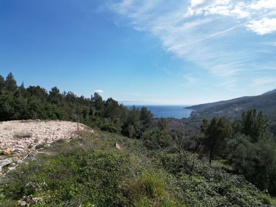 original_1710750824_dji_0414.jpg