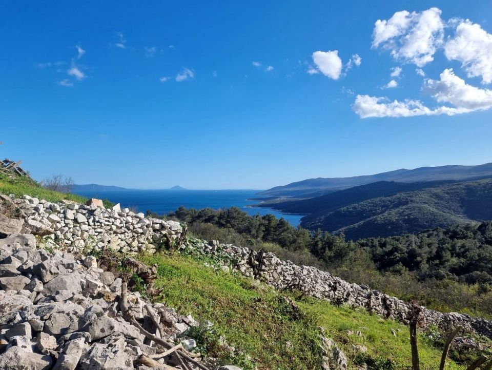original_1712118863_istra-gradevinsko-zemljiste-pogled-na-more-prodaja-2.jpg