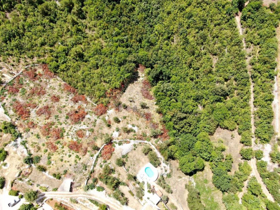 original_1720044404_croatia-istria-property-for-sale-37.jpg