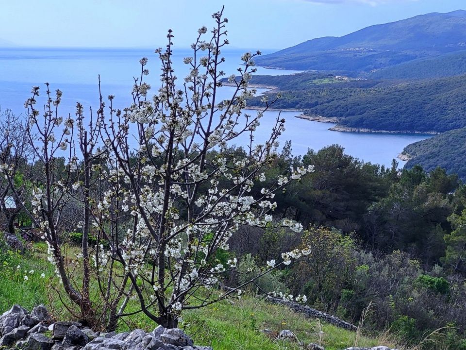 original_1720044412_croatia-istria-property-for-sale-44.jpg