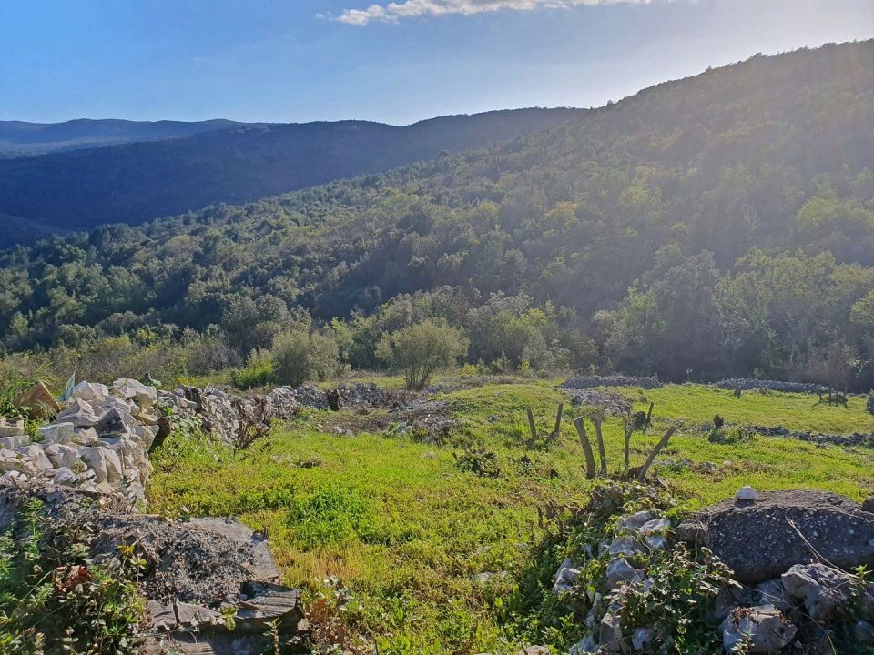 original_1724089769_croatia-istria-real-estate-for-sale-177.jpg