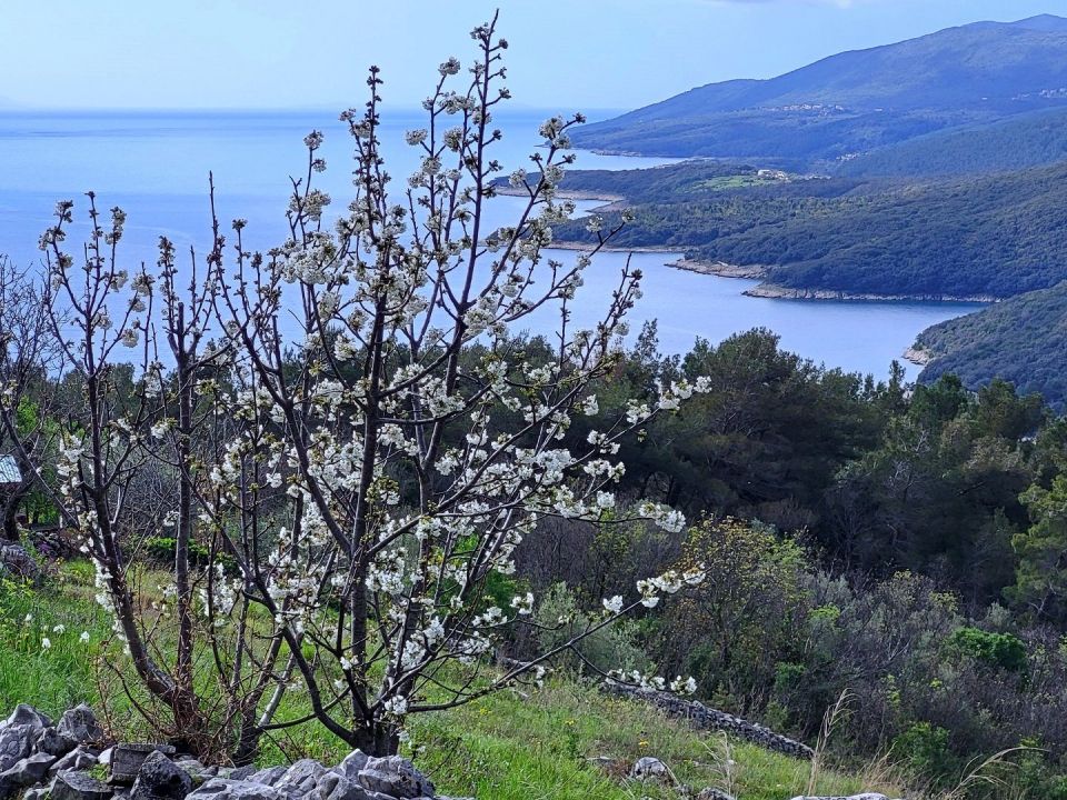 original_1724089781_croatia-istria-real-estate-for-sale-178.jpg