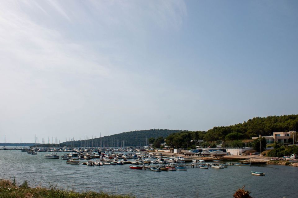 original_1689245539_kucab_18.jpg
