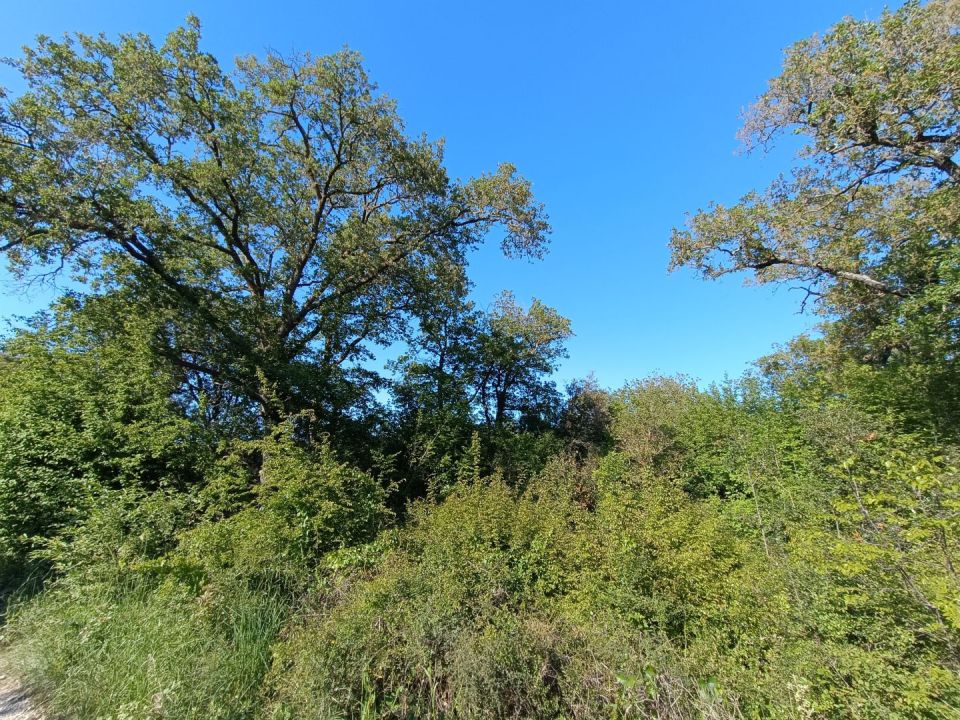 original_1714559168_img_20240430_164659.jpg