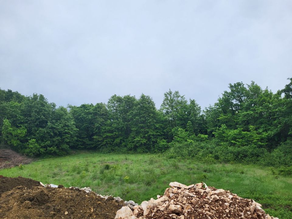 original_1714993128_20240503_173453.jpg