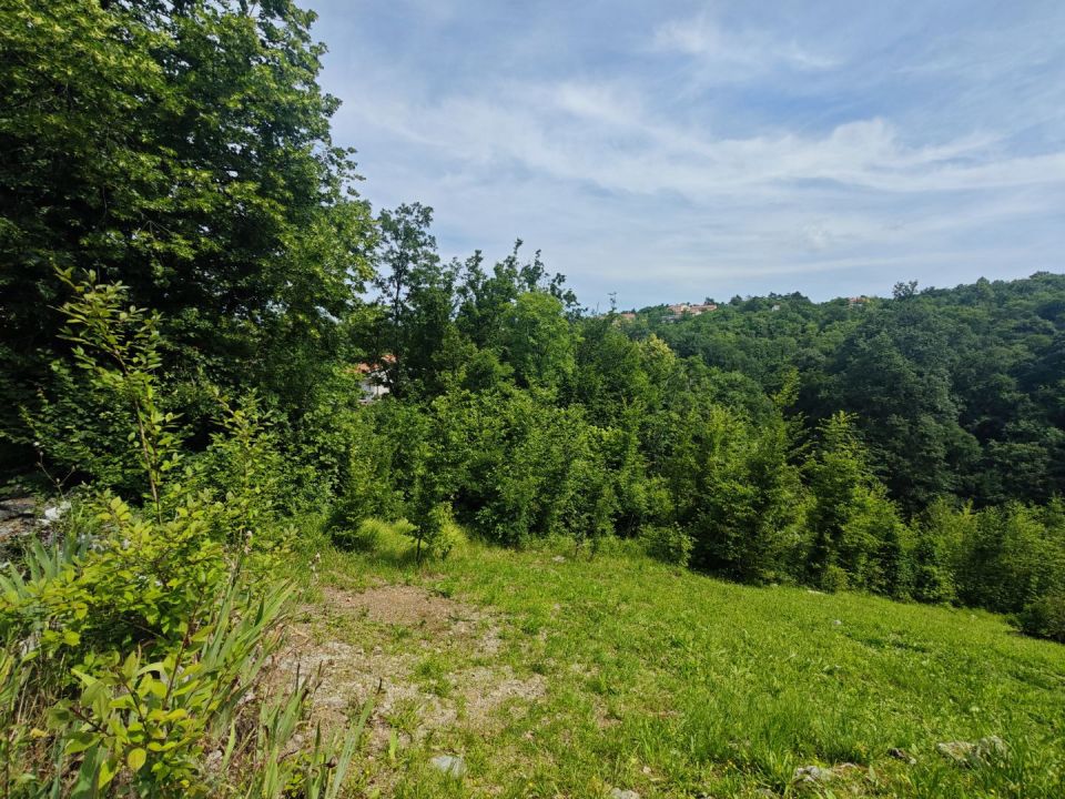 original_1718892095_1000070608.jpg