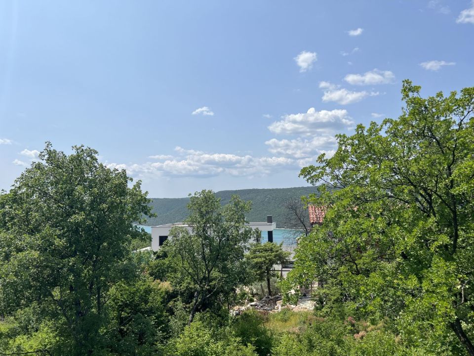 original_1685601939_img_2973.jpg