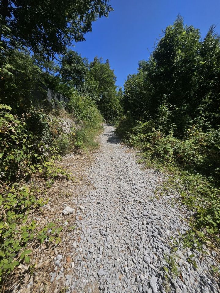 original_1722617374_1000105971.jpg