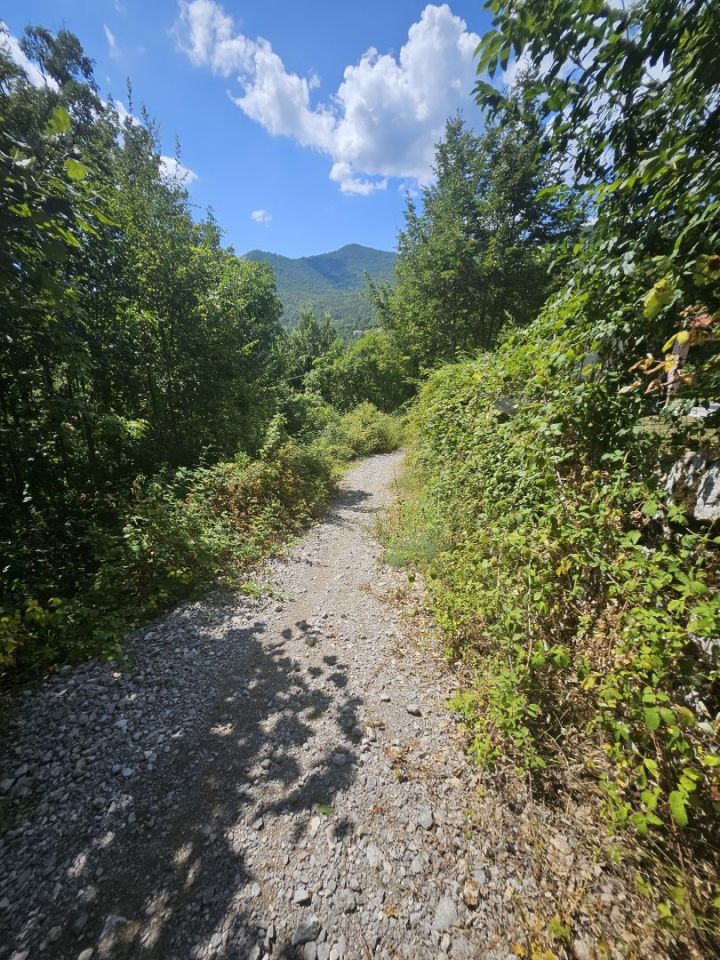 original_1722617387_1000105973.jpg