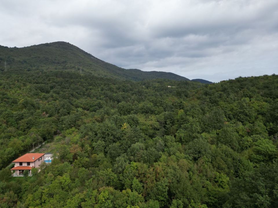 original_1727871375_dji_0101.jpg
