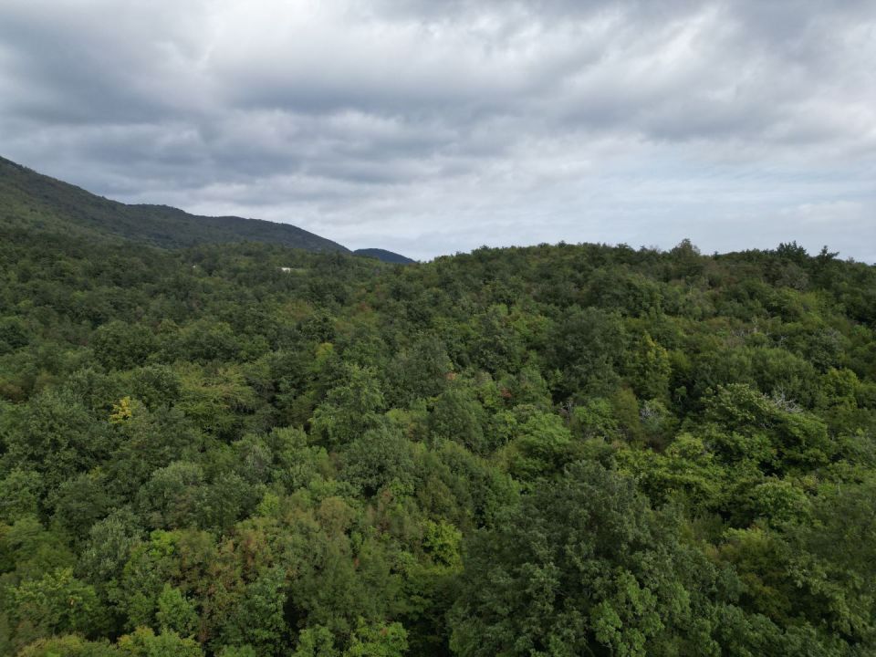 original_1727871394_dji_0102.jpg