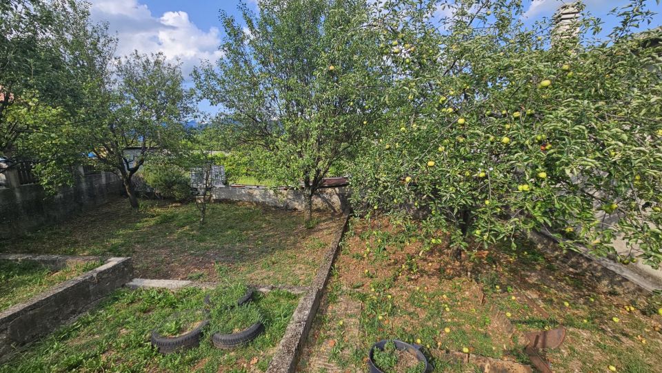 original_1722336312_1000024234.jpg