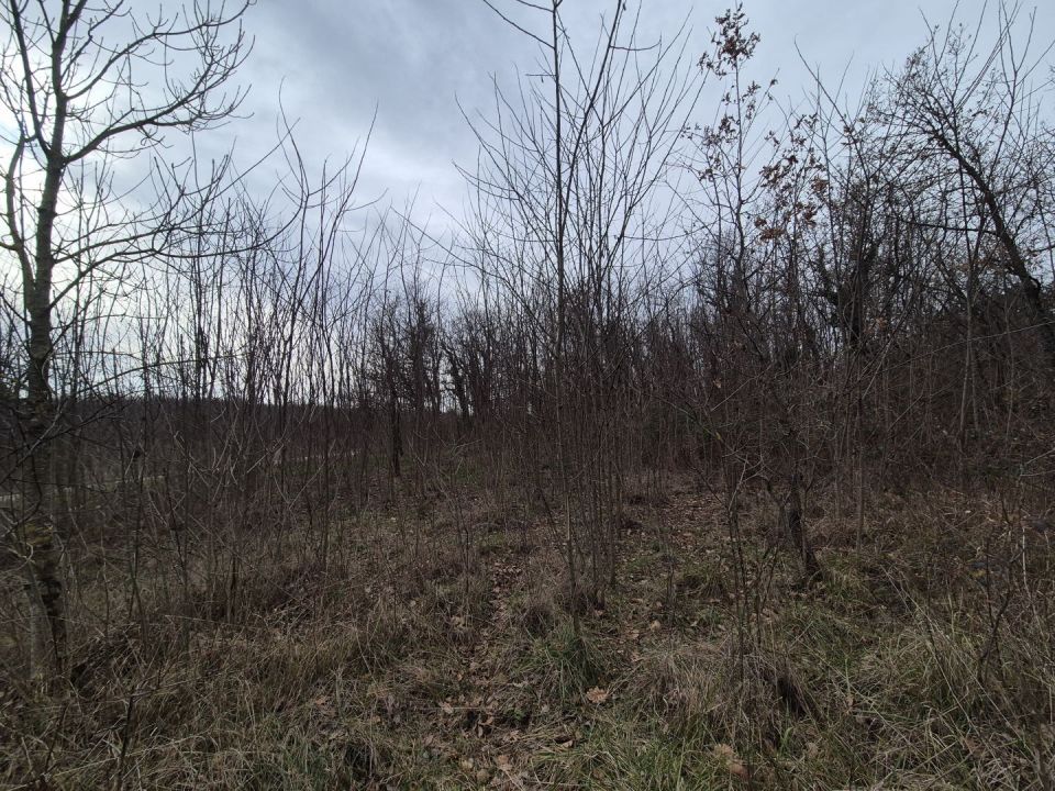 original_1738329502_img-20250131-wa0040.jpg