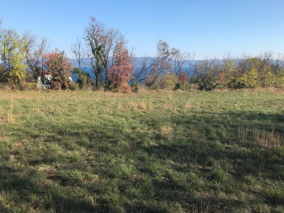 original_1697448511_photo_2023-10-16_06-47-16.jpg