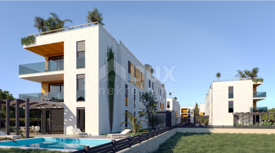original_1726656669_porec-c-3.png