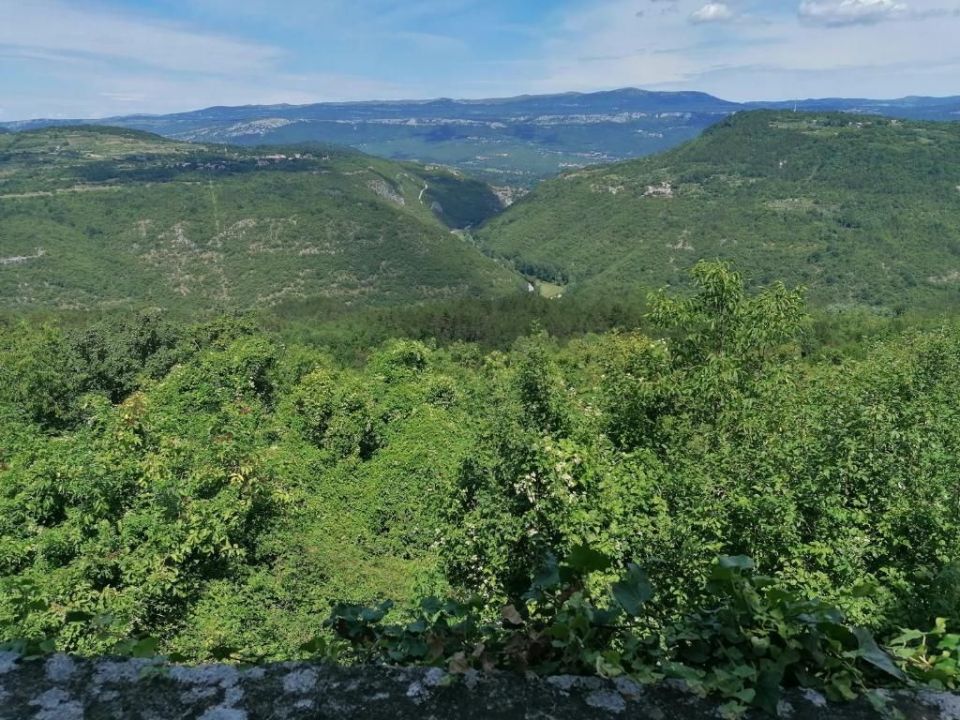 original_1663059177_263729820.jpg