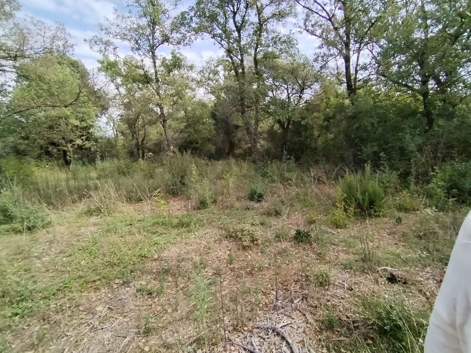 original_1727443454_img_20240926_112214.jpg