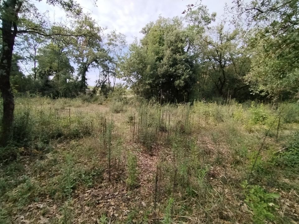 original_1727443471_img_20240926_112307.jpg