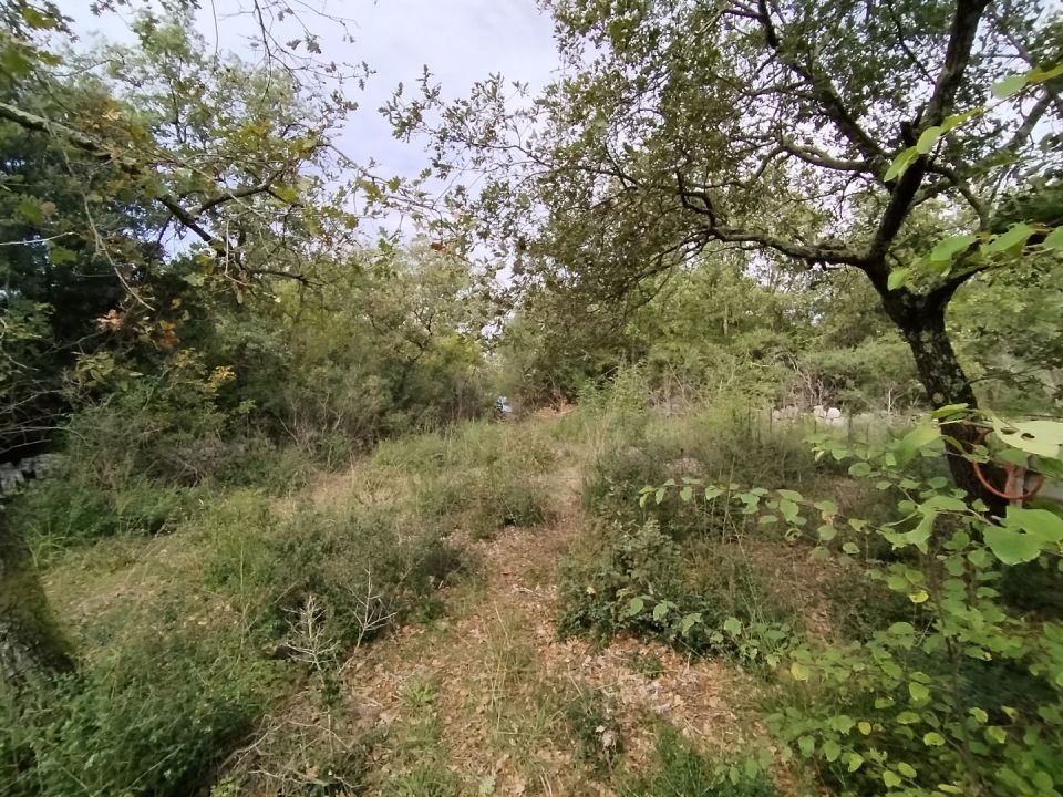 original_1727443487_img_20240926_112610.jpg