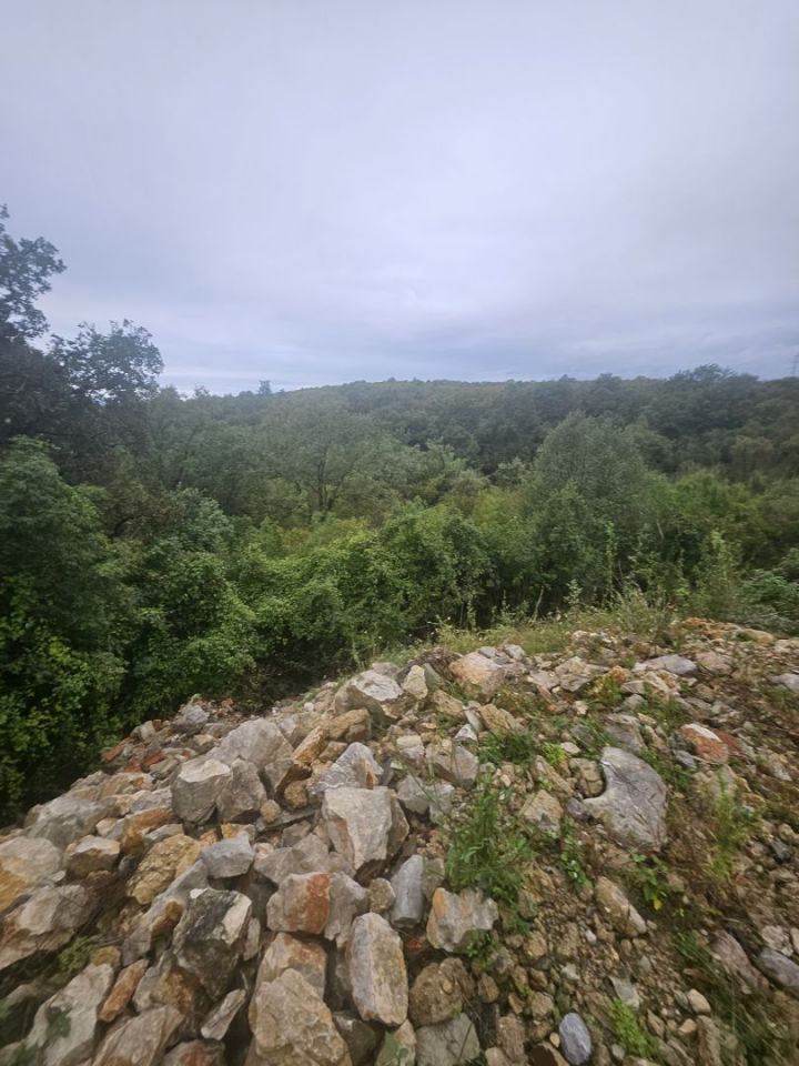 original_1728377662_1000116735.jpg