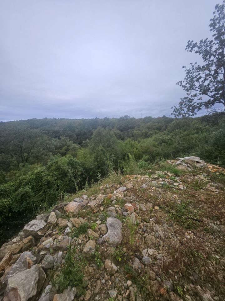 original_1728377671_1000116736.jpg