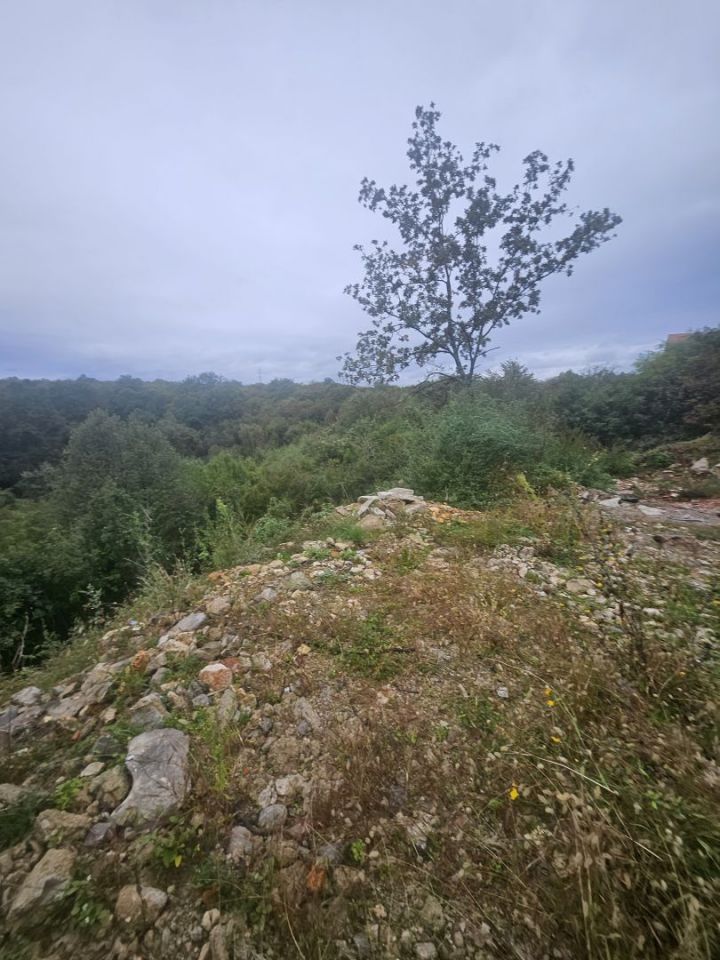original_1728377683_1000116737.jpg