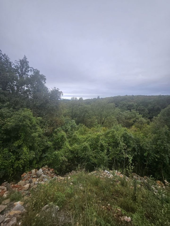 original_1728379618_1000116745.jpg