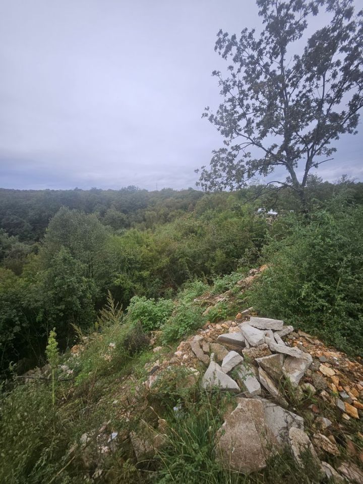 original_1728379623_1000116742.jpg