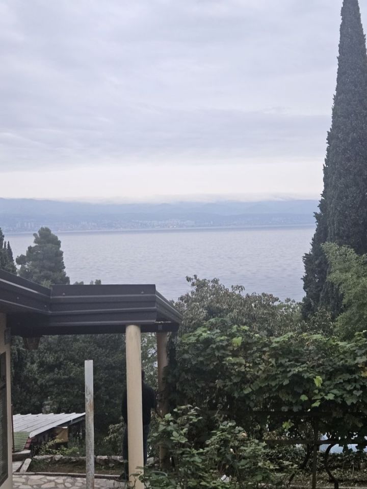 original_1729182109_1000118111.jpg