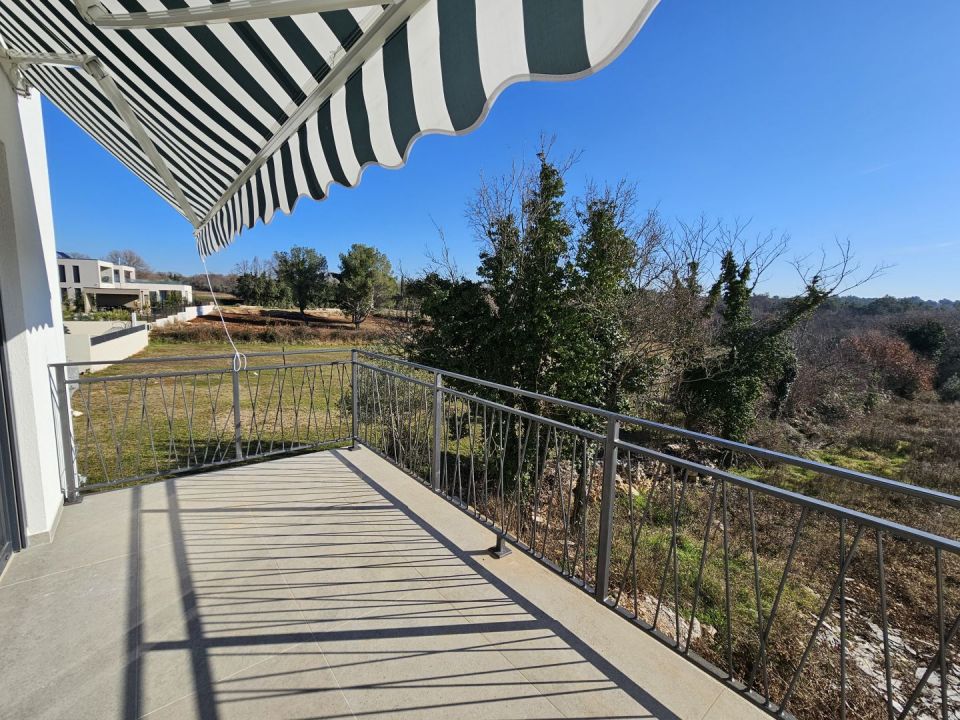 original_1706731699_1000014557.jpg