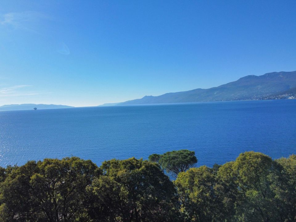 original_1730739285_dji_fly_20241104_110242_787_1730714574855_photo_optimized.jpg