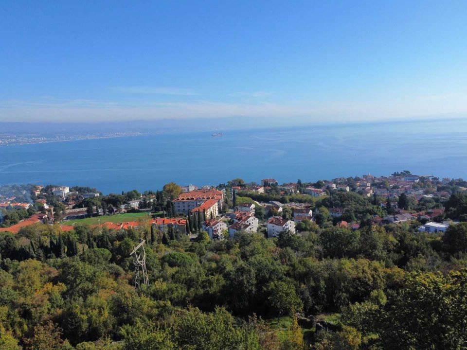 original_1730989027_dji_fly_20241107_114914_828_1730976564166_photo_optimized.jpg
