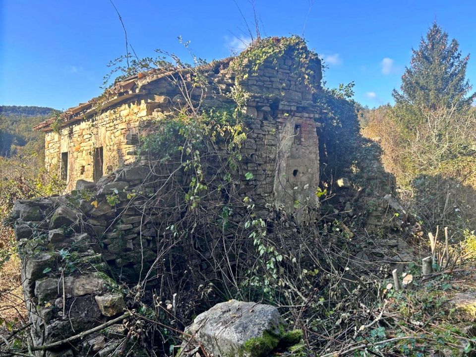 original_1731023547_istra-kamena-kuca-prodaja-7.jpg